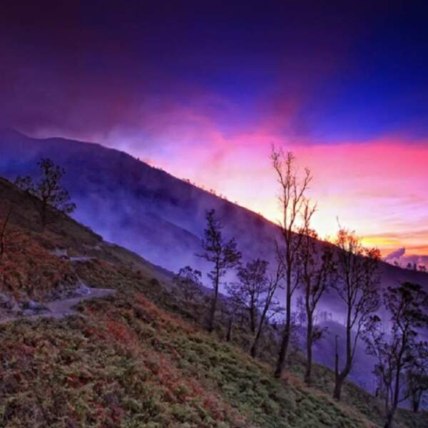 Motorradreisen Indonesien Ruhetag Waldspaziergang Plantagen